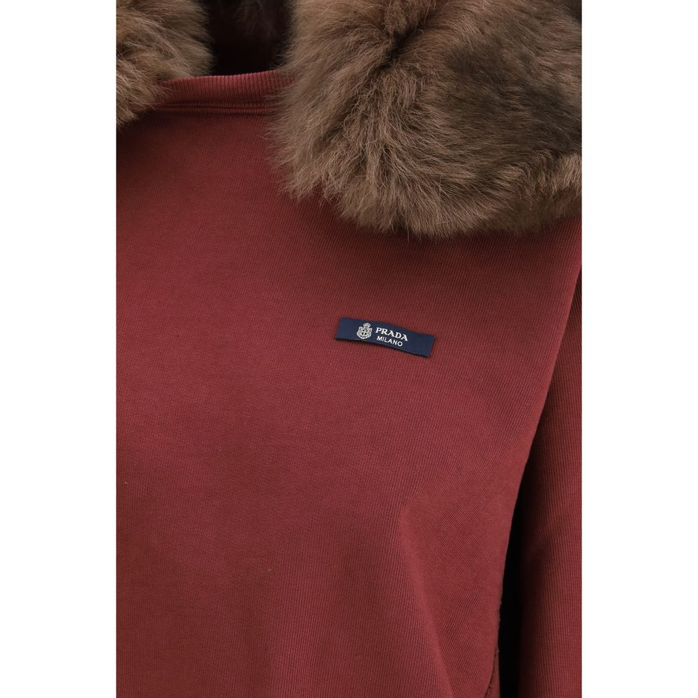 Prada Bordeaux Cotton Sweatshirt