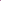 Purple Leopard Cotton Slim Fit Denim Jeans