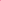 Comme Des Fuckdown Pink Cotton Short