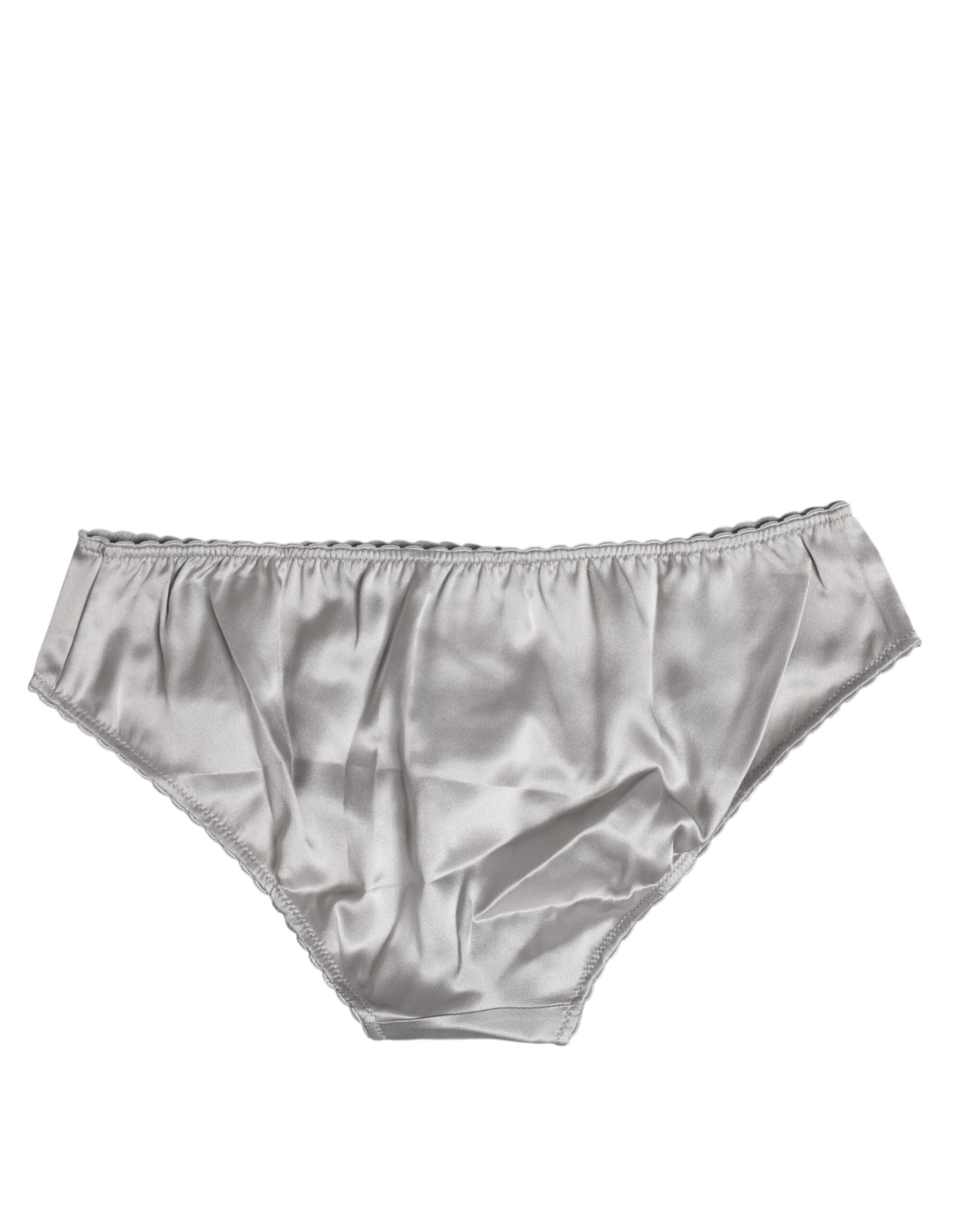 Dolce & Gabbana Gray Silk Stretch Bottom Low Waist Panty Underwear