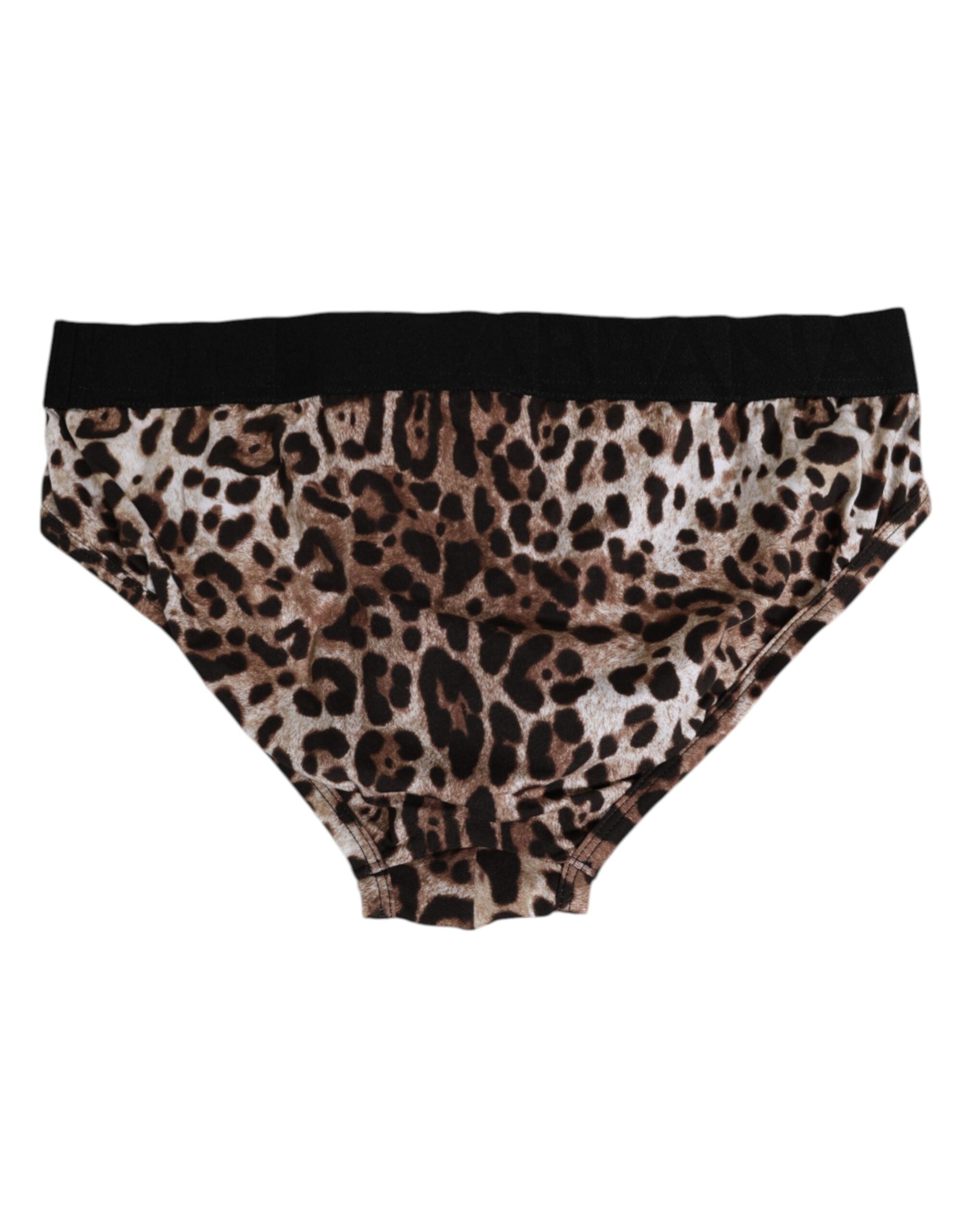 Dolce & Gabbana Brown Cotton Leopard Logo Midi Brief Underwear